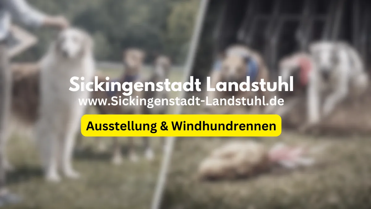 Windhundrennen 2026 in Landstuhl: WCL-Wertungslauf & Golden Rabbit + Ausstellung