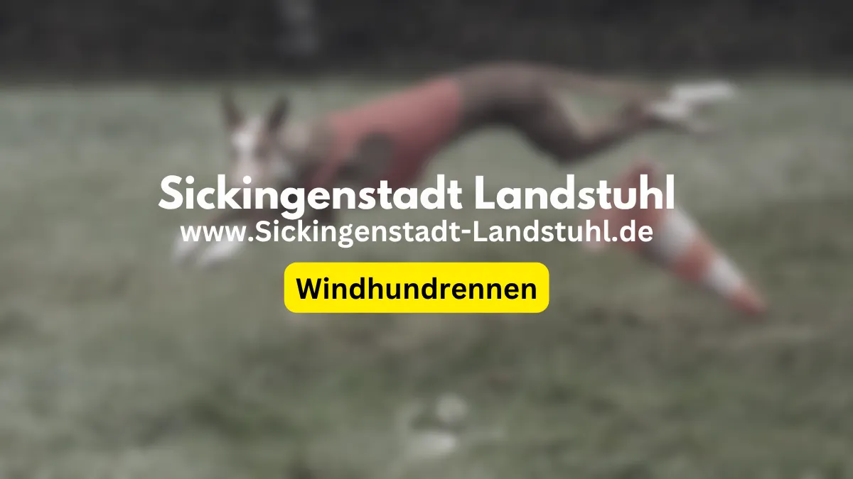 Halloween-Coursing 2026 beim Windhundrennverein in Landstuhl